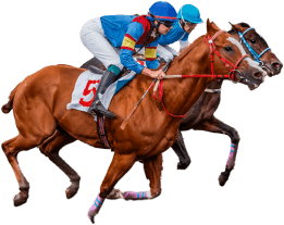 Horse racing